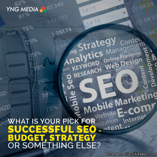 Search Engine Optimization Company India - YNG Media