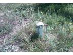 Bank Owned Land for sale in Whitehall MI