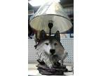new animal lamp and shade amazing detail