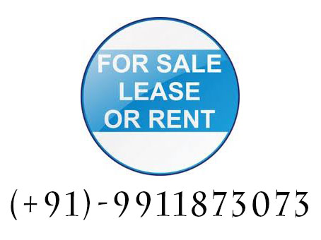 House for rent in green park new delhi