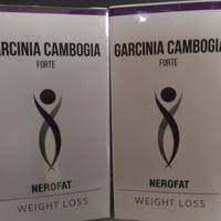 Garcinia cambogia forte obat pelangsing 