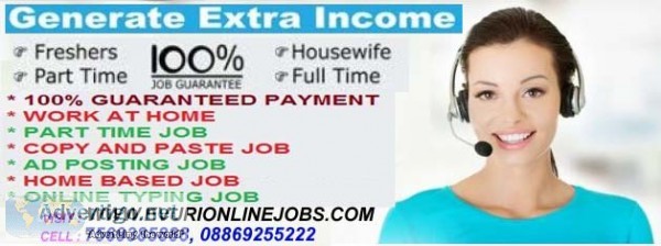 Part time home based offline online data