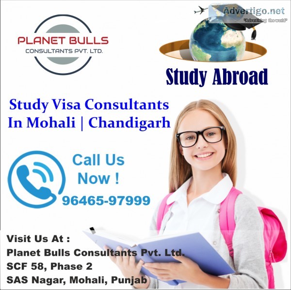 Best visa consultants in punjab