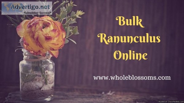 Get Perfect Ranunculus from Whole Blossoms