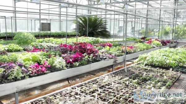 Bsc Horticulture  Dolphinlifesciences