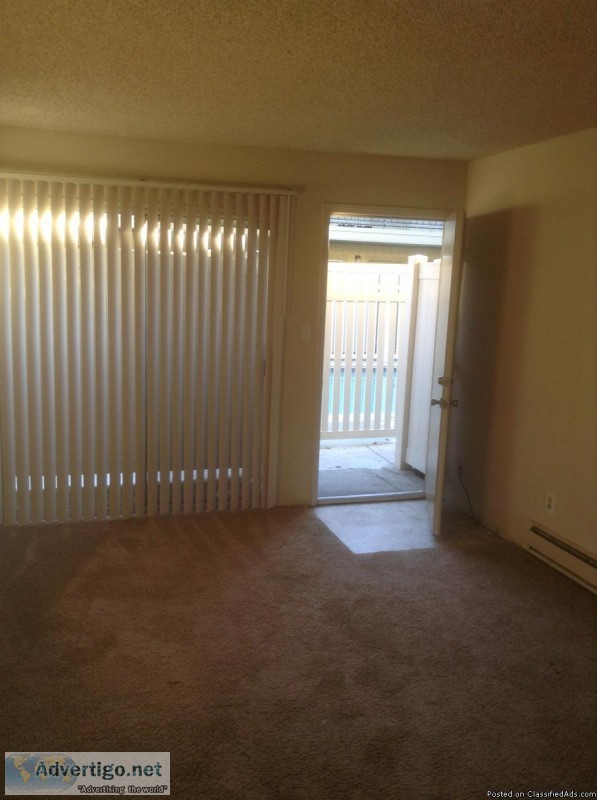 Large 1br 1 ba