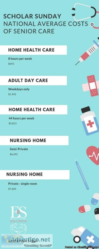 E and S Home Care Solutions   The Home Care Solution