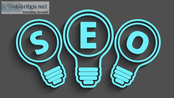 Best SEO Company GOOGLE PARTNERDigiWolves