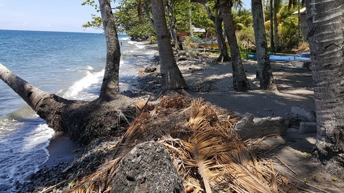 Beach lot in brgy maayong tubig dauin 85