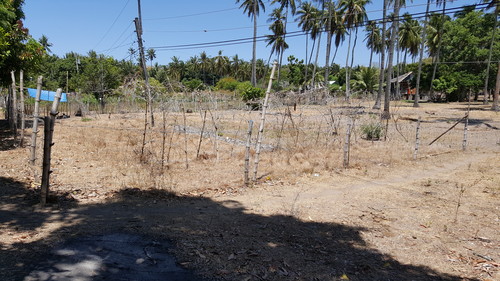 Beach lot in brgy maayong tubig dauin 85