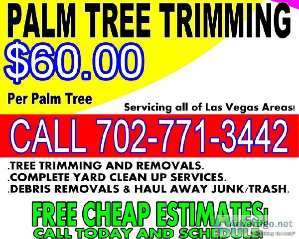 60.00 PALM TREE TRIMMING