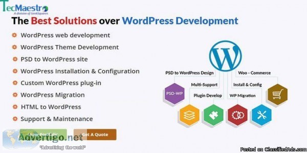 WordPress Web Development in Delhi NCR