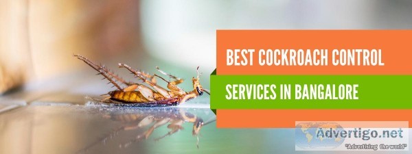 Cockroach Control Bangalore