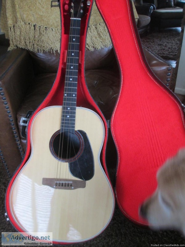 acoustic guitar