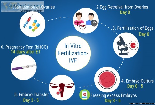 IVF Cost in Pune (with Cost) -medicaltreatmentcos t.com