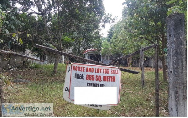 885 sqm lot for sale, valencia, along mu