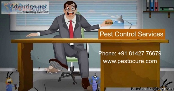 Termite Control Services In Gachibowli Hyderabad