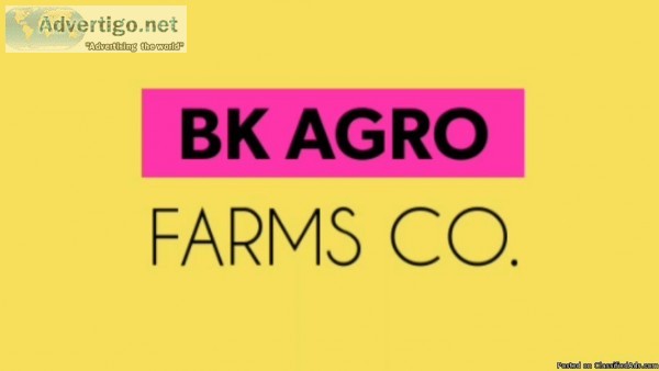 kadaknath poultry farm business