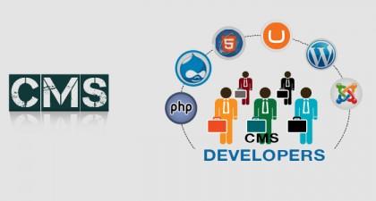 Hire CMS Developer  Brill Infosystems