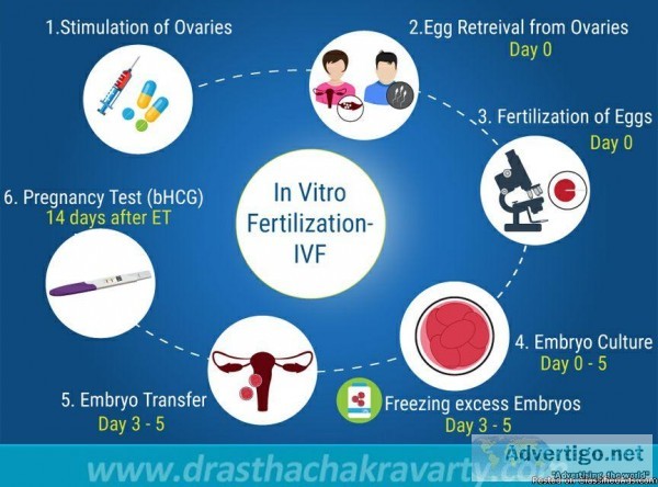 Best IVF Centre In Delhi India - Dr Astha Chakravarty