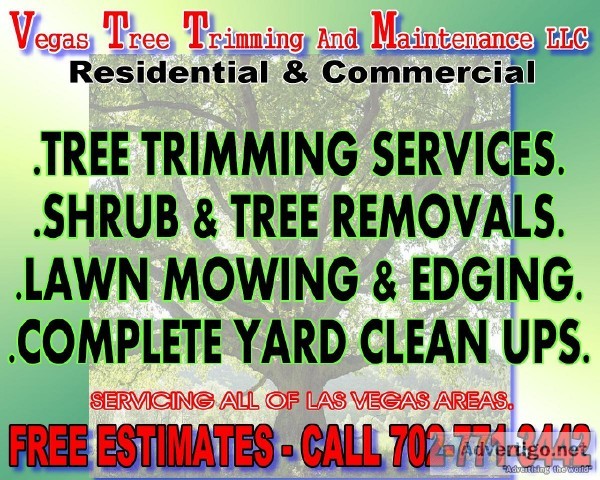 LAS VEGAS TREE TRIMMERS AND YARD CLEAN UPS  CHEAP ESTIMATES