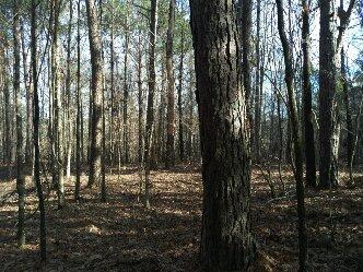 OxfordLafayette Co. Land- FSBO