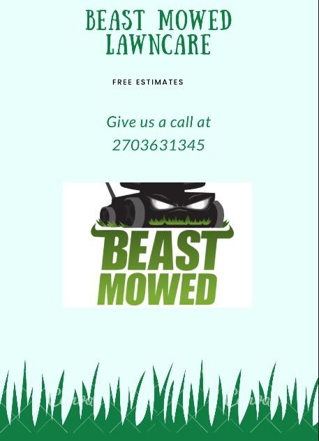 Beast Mowed Lawncare