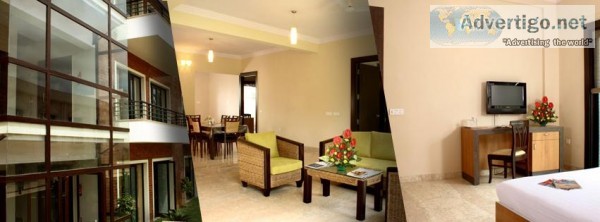 Transtree &ndashThe Perfect Experience for Your Stay in Bangalor