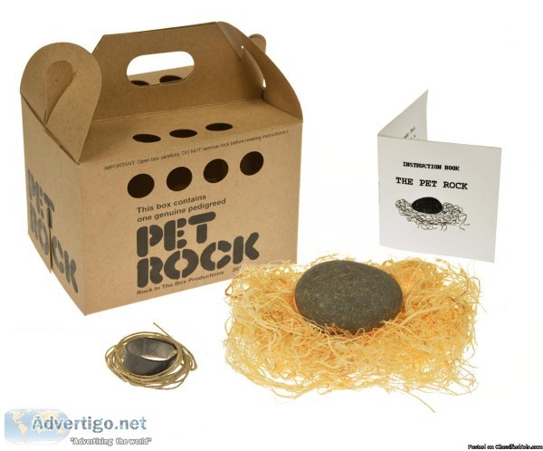 Pet Rock funny gag gift shop. Original Pet Rocks are back