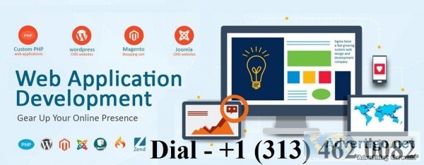 Web App Development Company in USA 1 (313) 462 0082