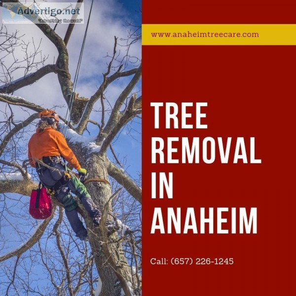 Tree Removal Anaheim CA