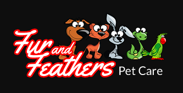 Animal and Pet Sitters around Addison IL