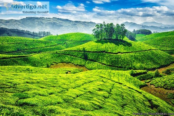 Spend your Holiday on the paradise of Kerala.