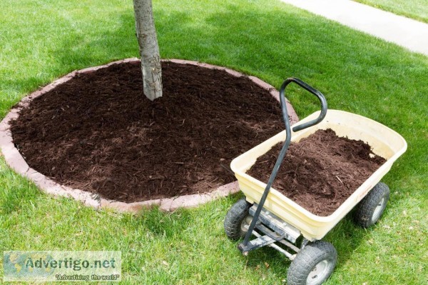 Landscaping ideas in Stockton