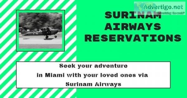 Seek your adventure in Miami with your loved ones via Surinam Ai