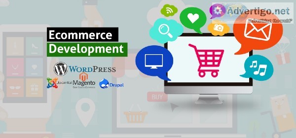 Ecommerce Web Design and Website Designing Company