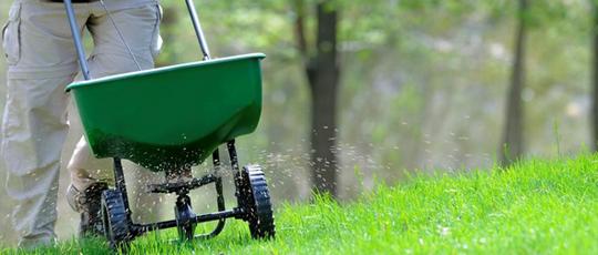 Gardening Maintenance Services Perth