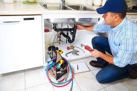 Plumbing Services Delta