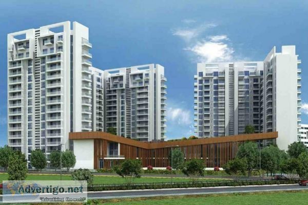Ambience Creacions Floor Plan For 23 and 4 BHK In Gurgaon