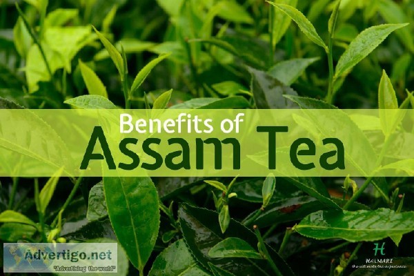 Best Quality Assam Tea