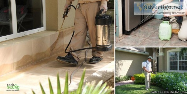 Affordable pest control service at your doorstep