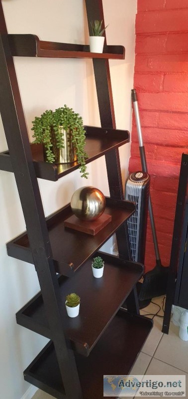 Ladder Bookcase