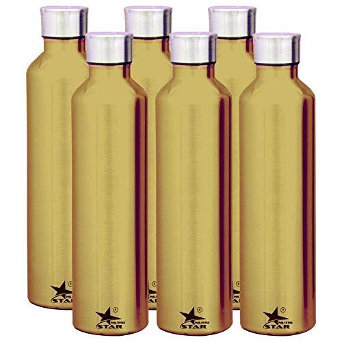 Stainless Steel Water Bottle (Gray) Set of 6