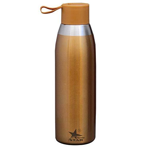 Stainless Steel Water Bottle (Brown) Single