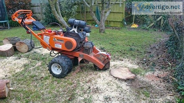 Hire For The Best Tree Stump Removal