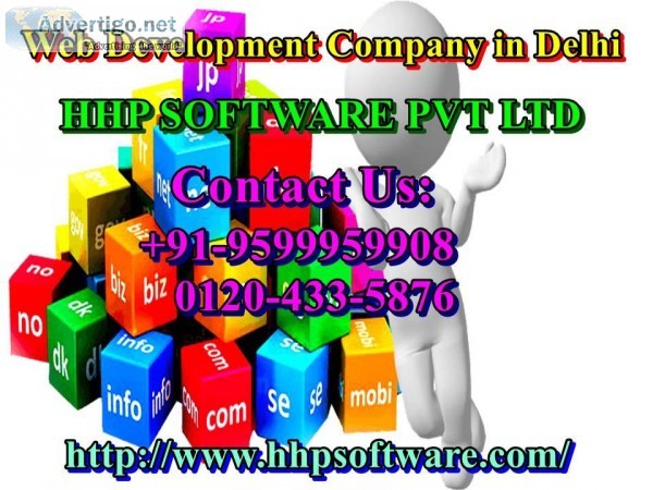 Discuss the working of Web Development Company in Delhi 0120-433