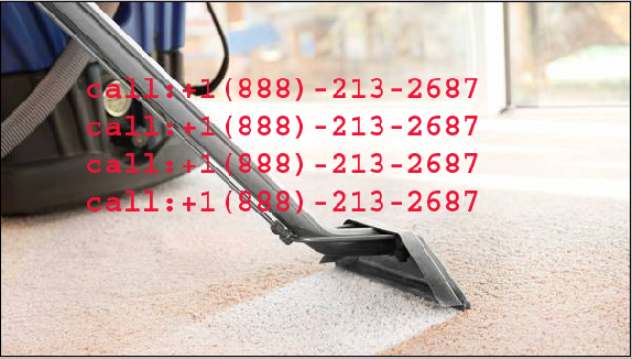 SCHEDULE A CARPET CLEANING WITH CARPET CLEANING