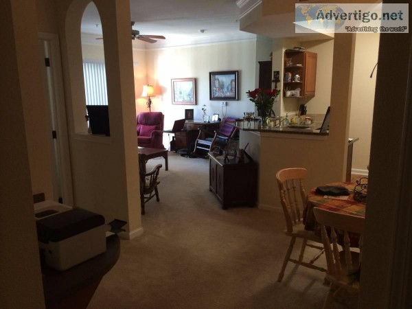 Gorgeous 2 bedroom  2 bathroom apartment