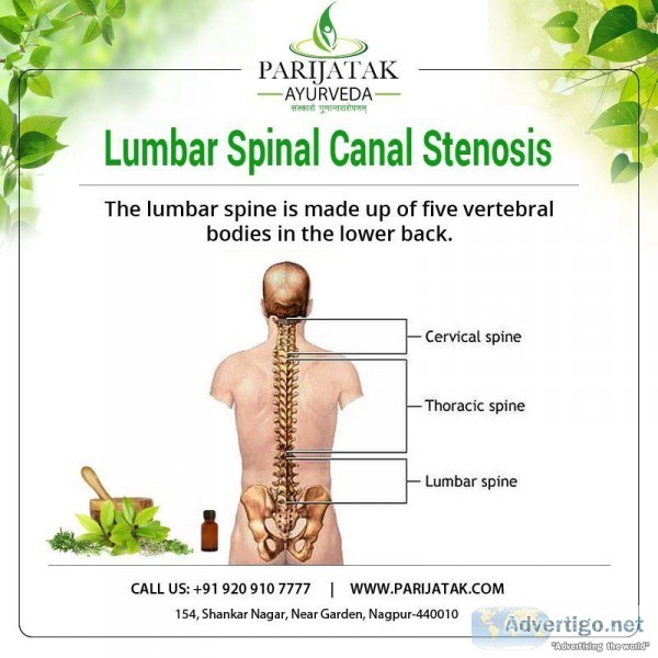 Spine Specialist in Nagpur  Back Pain Treatment in Nagpur  Neck 