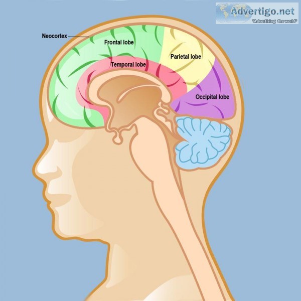 Neurology - Neuro Life Hospital  Best Neurologist in Chennai